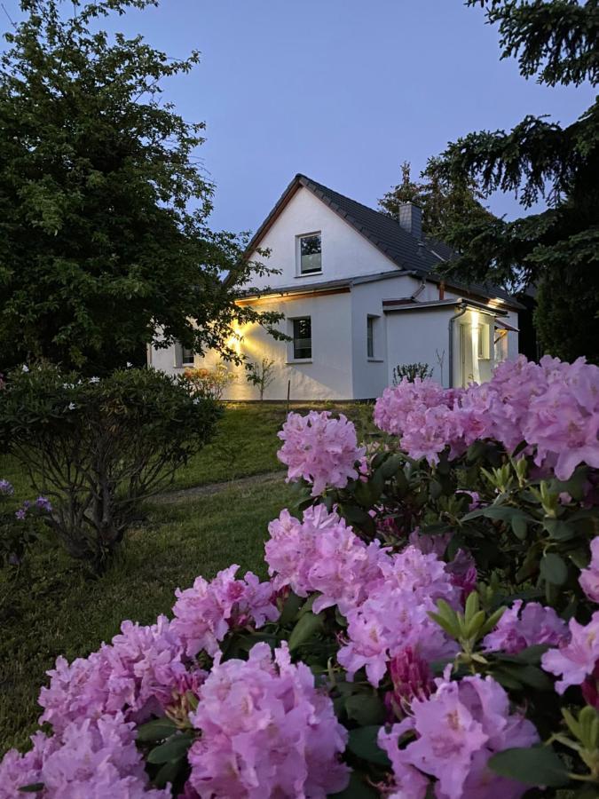 Gemuetliches Ferienhaus Spremberg Eksteriør billede